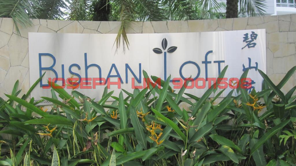 Bishan Loft (D20), Condominium #104292862